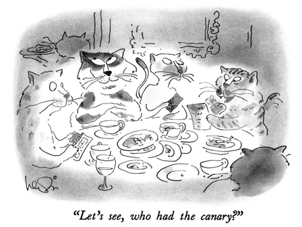 Cat-Canary.jpg